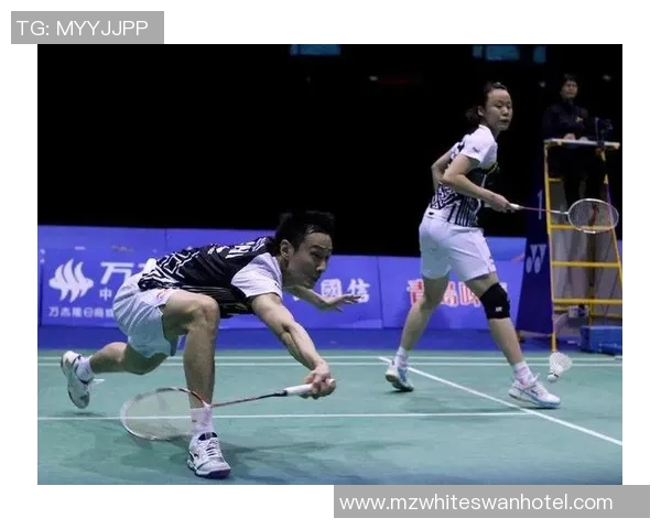 上海羽毛球队区域防守策略揭秘深度解析羽毛球战术与团队协作