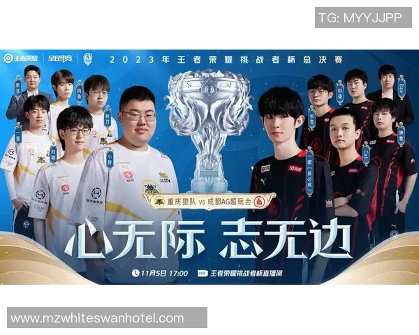 挑战者杯精彩回顾JDG战队展现无与伦比的实力与团队默契