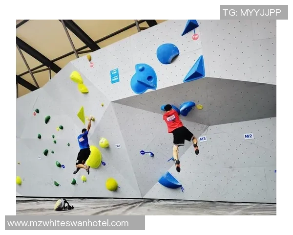 武汉攀岩队协作创新探索新模式引发热议与关注