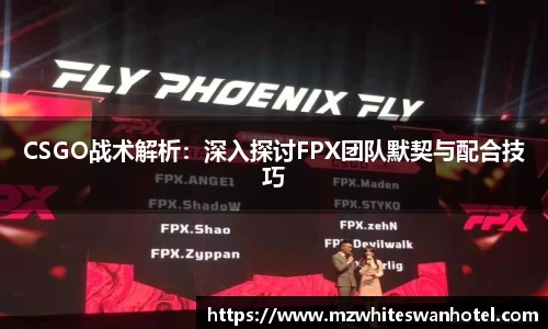 佰富彩官网