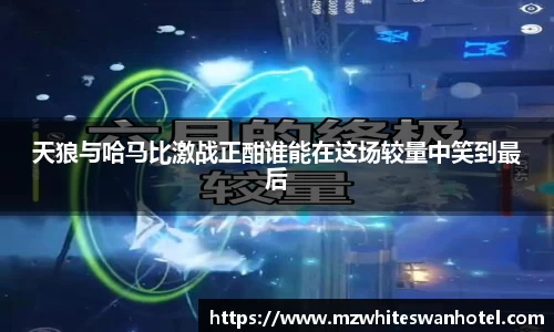 天狼与哈马比激战正酣谁能在这场较量中笑到最后
